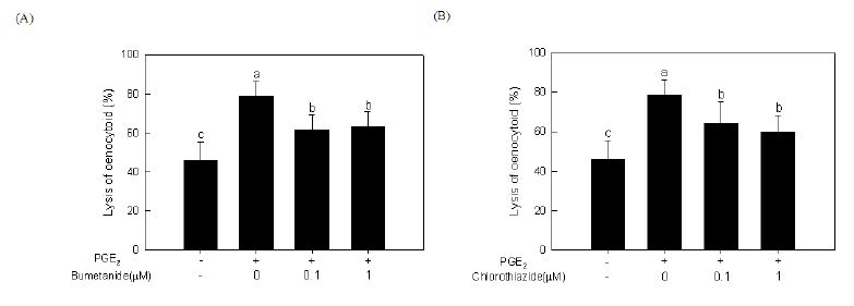 Fig. 4. In vitro inhibition of oenocytoid cell lysis in response to NKCC inhibitors. Hemocytes from the fifth instar larvae of Spodoptera exigua was treated with different doses of specific NKCC inhibitors, bumetanide and chlorothiazide in response to PGE2. Hemocyte suspension was ncubated with the test chemicals for 20 min at 25°C before analyzing cell lysis. Each treatment was replicated for three times. Different letters above standard deviation bars indicate significant difference among means at Type I error = 0.05 (LSD test).