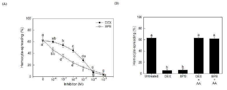 Figure 3. Arachidonic acid (AA) reverses the influence of PLA2 inhibition on hemocyte spreading.