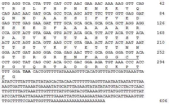 Figure 5. A partial nucleotide sequence of paralytic peptide 2 of Spodoptera exigua (SePP2) and its deduced amino acid sequence. Nucleotide sequence of SePP2 was deposited to GenBank with an accession number of AAA00000. Underlined amino acid sequence exactly matches to that of SePP2