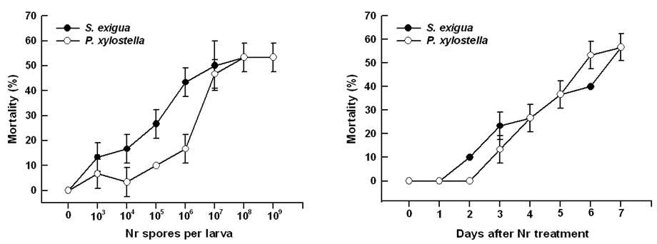 Fig. 2. Pathogenicity of Nomuraea rileyi (Nr). Dose response and time course of Nr pathogenicity against two lepidopteran species of Plutella xylostella and Spodoptera exigua at final instar tage. Each treatment was replicated three times. Each replication consisted of 10 larvae. Error bars represent standard deviations