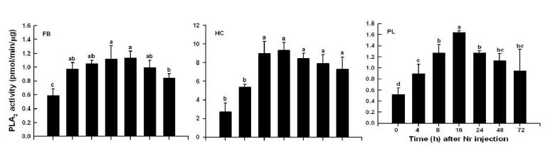 Fig. 3. Induction of enzyme activities of different PLA2s extracted from hemocyte (HC), plasma (PL),and fat body (FB). An entomopathogenic fungus, Nomuraea rileyi, was injected to hemocoel of fifthinstar Spodoptera exigua in a dose of 2.5x105 spores and incubated for different periods at 25oC.Each measurement consisted of three independent replications. Different letters above standarddeviation bars indicate significant difference among means at Type I error = 0.05 (LSD test).