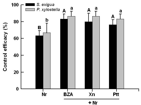 Fig. 9. Field assay of a mixture treatment of Nomuraea rileyi (Nr) with bacterial metabolites ofbenzylideneacetone (BZA), Xenorhabdus nematophila (Xn) and Photorhabdus temperata subsp.temperata (Ptt). Nr used a concentration of 107 blastospores/mL. Benzylideneacetone (BZA) used1,000 ppm. Xn and Ptt used 1,000 ppm. Initial average population of each treatment were 63.3, 83.3,80.0, and 76.6 individuals in Nr, BZA+Nr, Xn+Nr, Ptt+Nr treatments, respectively. Survival numberswere counted at five days after treatment. Control efficacy was a relative mortality compared tountreated plot. Each treatment was replicated three times. Different letters above standard deviationbars in each species indicate significant difference among means at Type I error = 0.05.