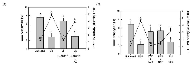 Fig. 2. Effect of PSP and eicosanoid interaction on oenocytoid cell lysis (OCL) and phenoloxidase (PO) activation in last instar Spodoptera exigua