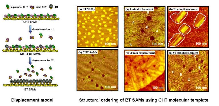 CHT 분자막을 이용한 BT 분자의 2차원적 분자 배열