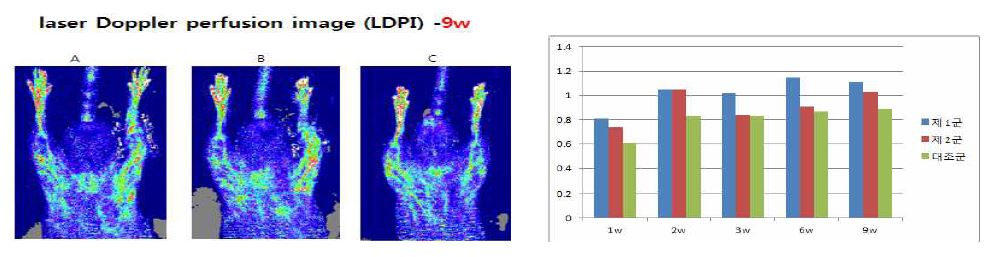 Fig.2 제 1군(A) , 제 2군(B) , 대조군(C)의 9주 Doppler image 와 각 기간별 혈류량 평균치 비교(n=8)