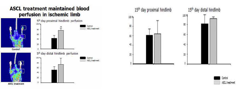 Fig.5 ischemia 수술후 5일과 15일 혈류량 측정값