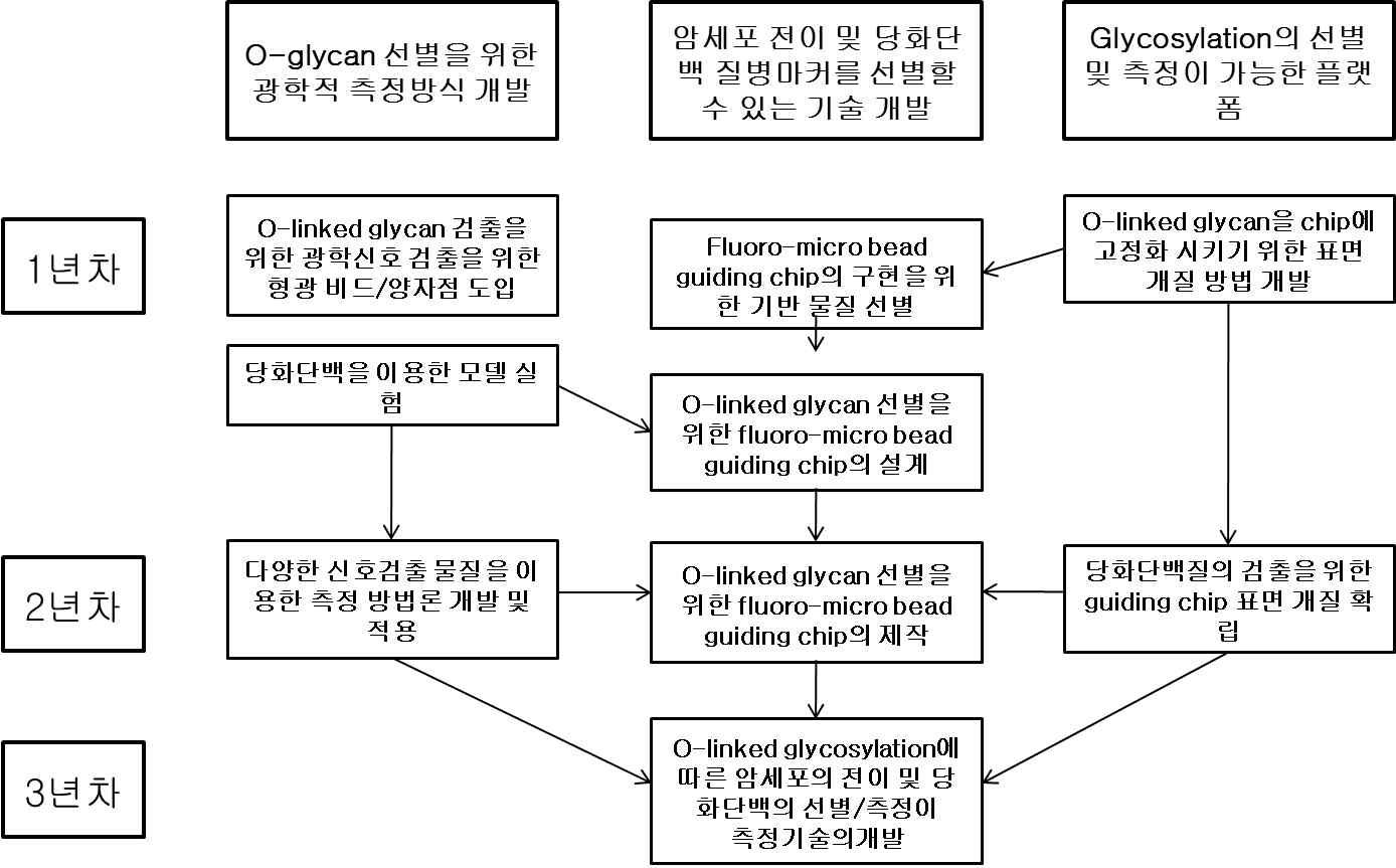 연구의 진행을 위한 연차별 연구 추진 체계도