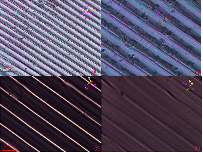 Figure 6 the pattern of a polymeric film observed between crossed polarizers and the lens character.