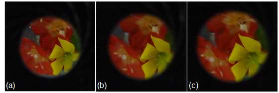 Fig. 3 Observed image of the liquid lens with different diameters of the ID: