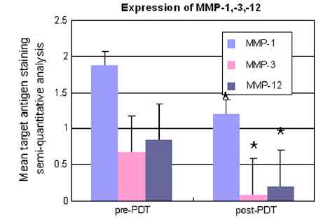그림15) 광역학 치료 후 진피내 MMP-1, 3, 12의 발현 변화.