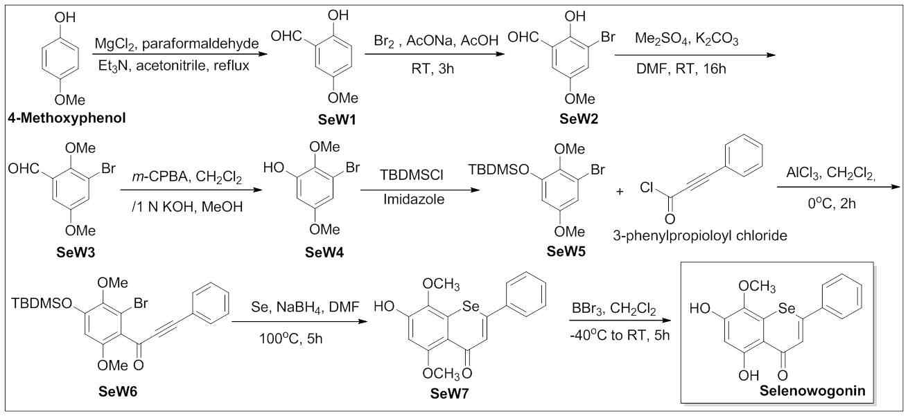 그림 2 Selenowogonin의 합성