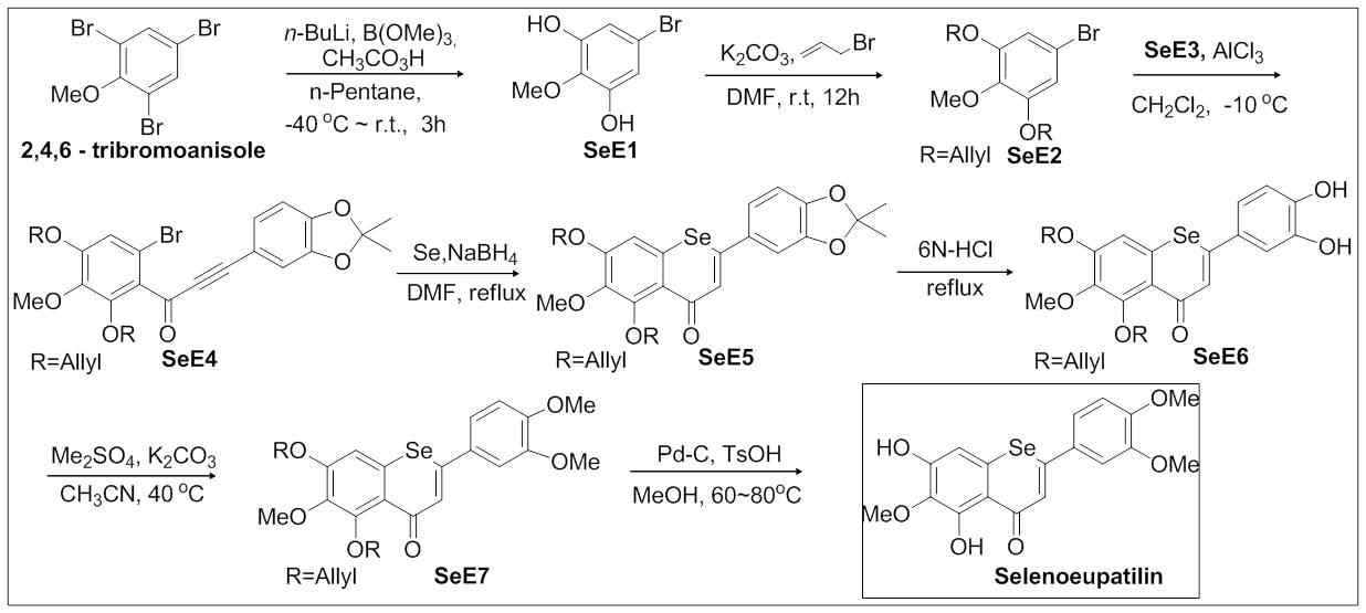 그림 4 Selenoeupatilin의 합성