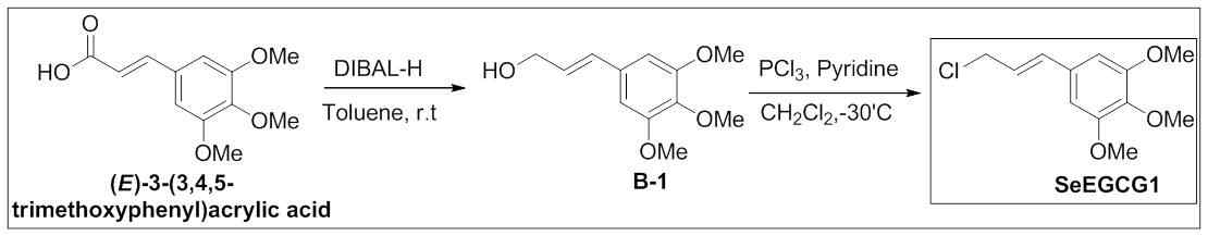 그림 5 SelenoEGCG 중간체 SeEGCG1의 합성