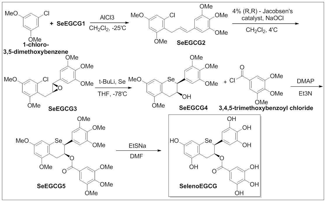 그림 6 SelenoEGCG의 합성