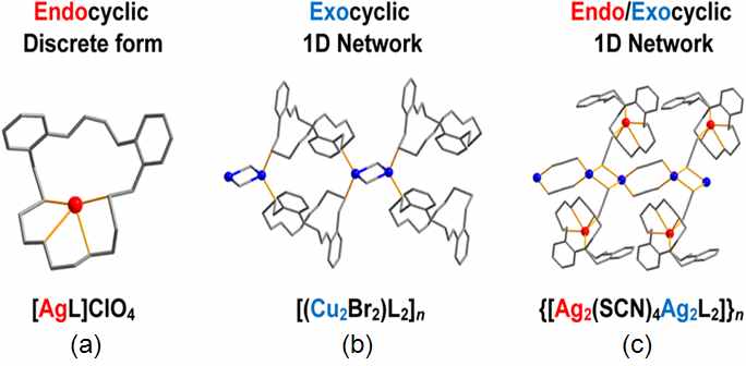 그림 15. 다양한 배위 방식을 갖는 초분자 착물의 구조.