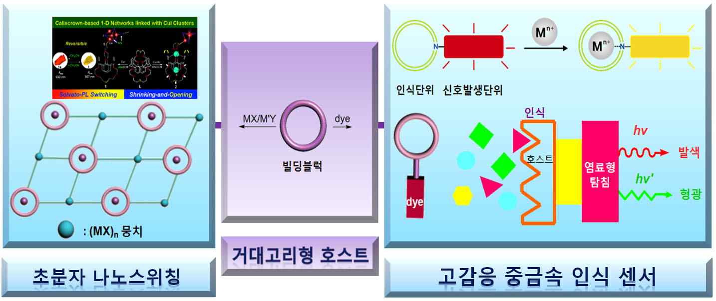 그림 1. 거대고리 수용체에 기초한 (좌) 초분자 스위칭 시스템 및 (우) 중금속 검출용 나노센서의 모식도.