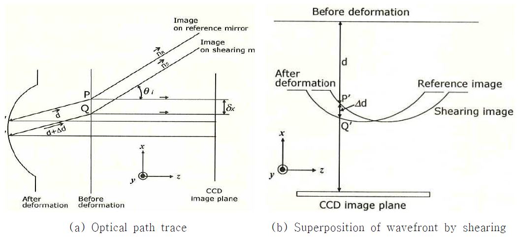 그림 5 Optical path trace in Shearography