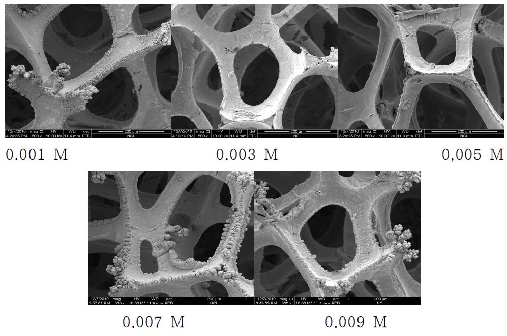 그림 나-6. 주석의 농도별 정전류 실험 SEM 관측 결과