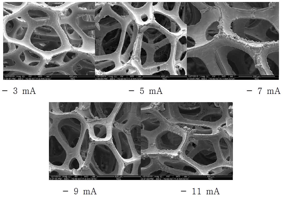 그림 나-8. 전류별 정전류 실험 SEM 관측 결과