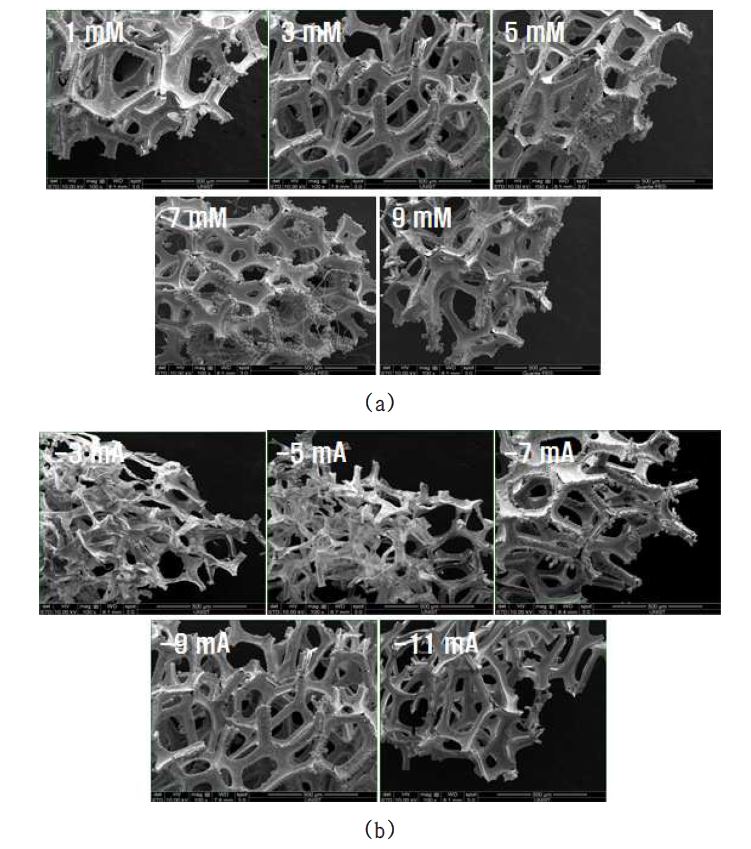 그림 나-10. (a) 용액 내 주석 농도별 (b) 인가 전류별 실험된 다공체 시편의 열처리 후 SEM 사진