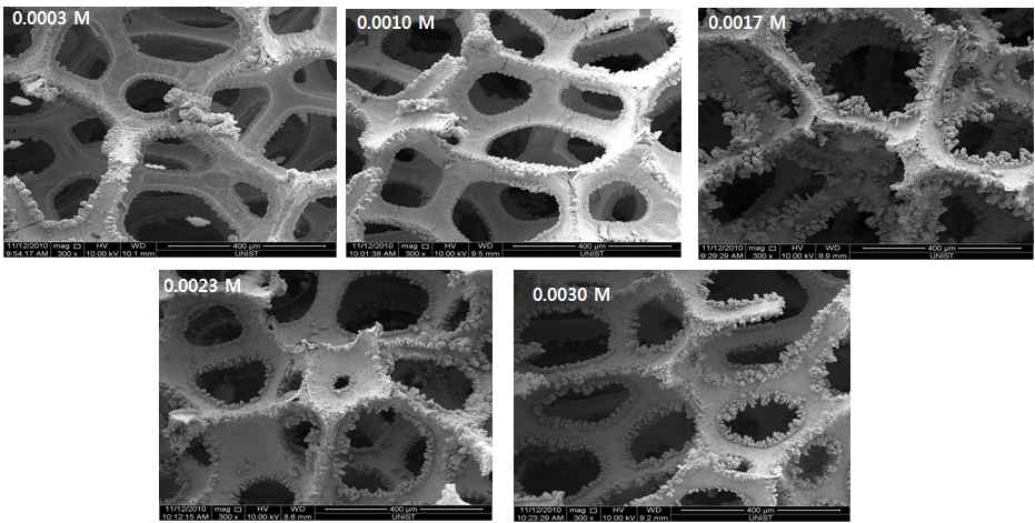 그림 나-3. BeSO4 농도별 정전류 실험 SEM 관측 결과