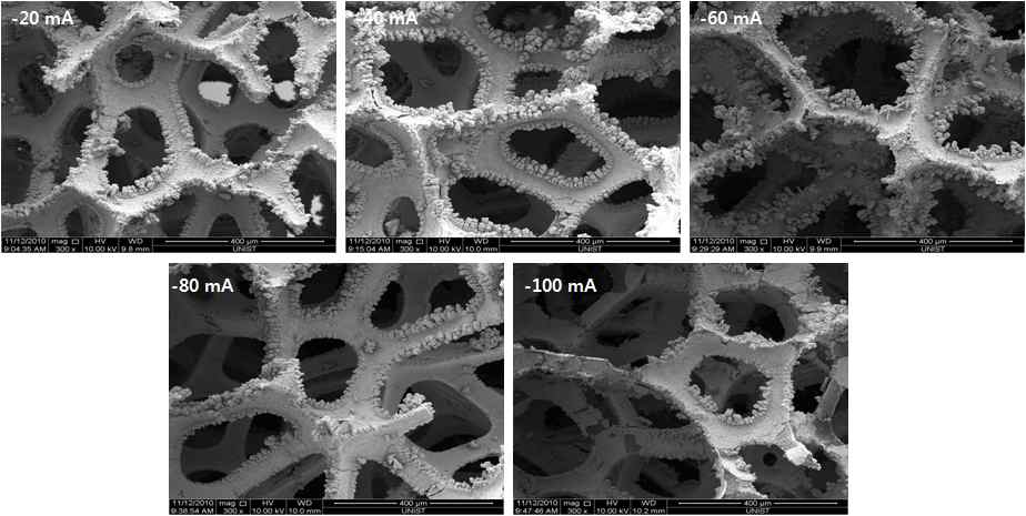 그림 나-5. 정전류 실험 SEM 관측 결과