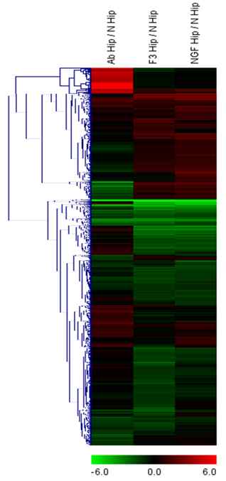 그림 6. Alzheimer 동물모델 hippocampus에서 microarray clustering data