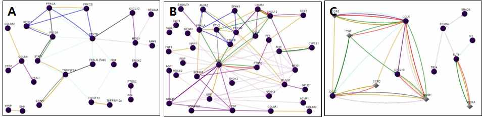 그림 12. Angiogenesis 관련 유전자의 functional network