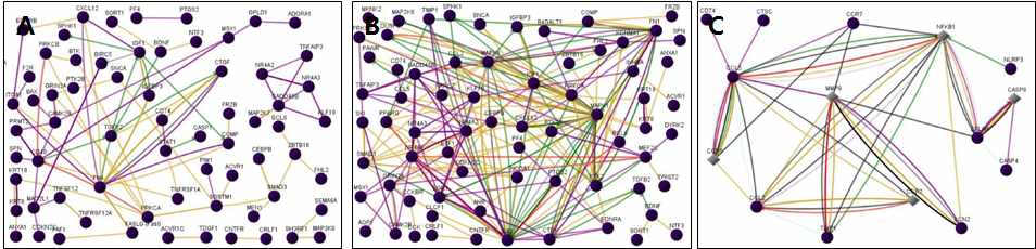 그림 13. Apoptosis 관련 유전자의 functional network