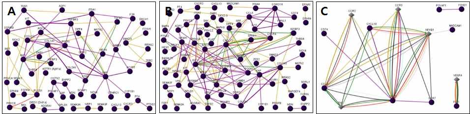 그림 16. Cell migration 관련 유전자의 functional network