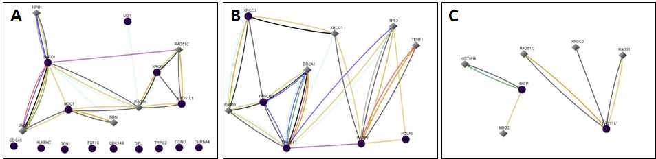 그림 18. DNA repair 관련 유전자의 functional network