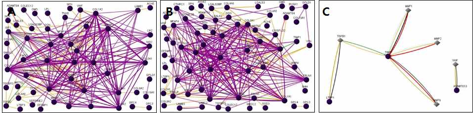 그림 19. Extracellular matrix 관련 유전자의 functional network