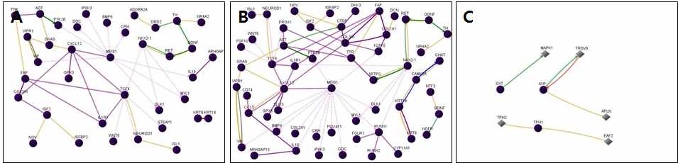 그림 27. Stemness 관련 유전자의 functional network