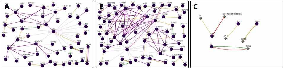 그림 28. Transcription factor 관련 유전자의 functional network