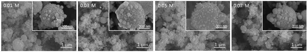 그림 40. 금 이온을 함유한 용액의 농도에 따른 표면 미세구조