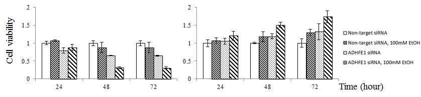 세포에 ADHFE1 siRNA 처리 및 Ethanol 처리 후 MTTassay 결과, CCD18Co(좌), DLD-1(우)