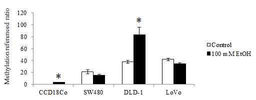 세포에 Ethanol 처리 후 ADHFE1 유전자의 QMSP 결과