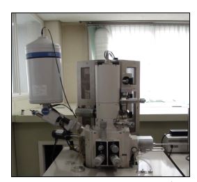 A field emission scanning electron microscope machine (FESEM)with energy dispersive spectroscopy(EDS)