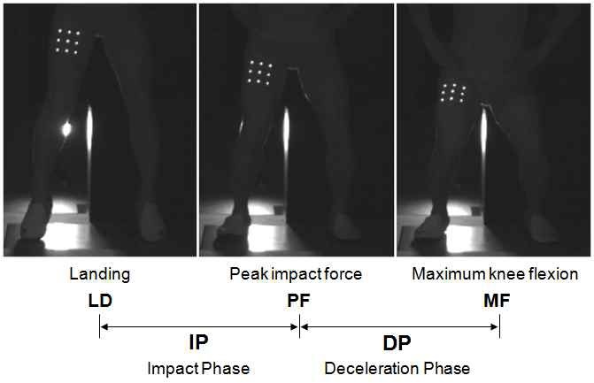 Figure 3. Events and phases