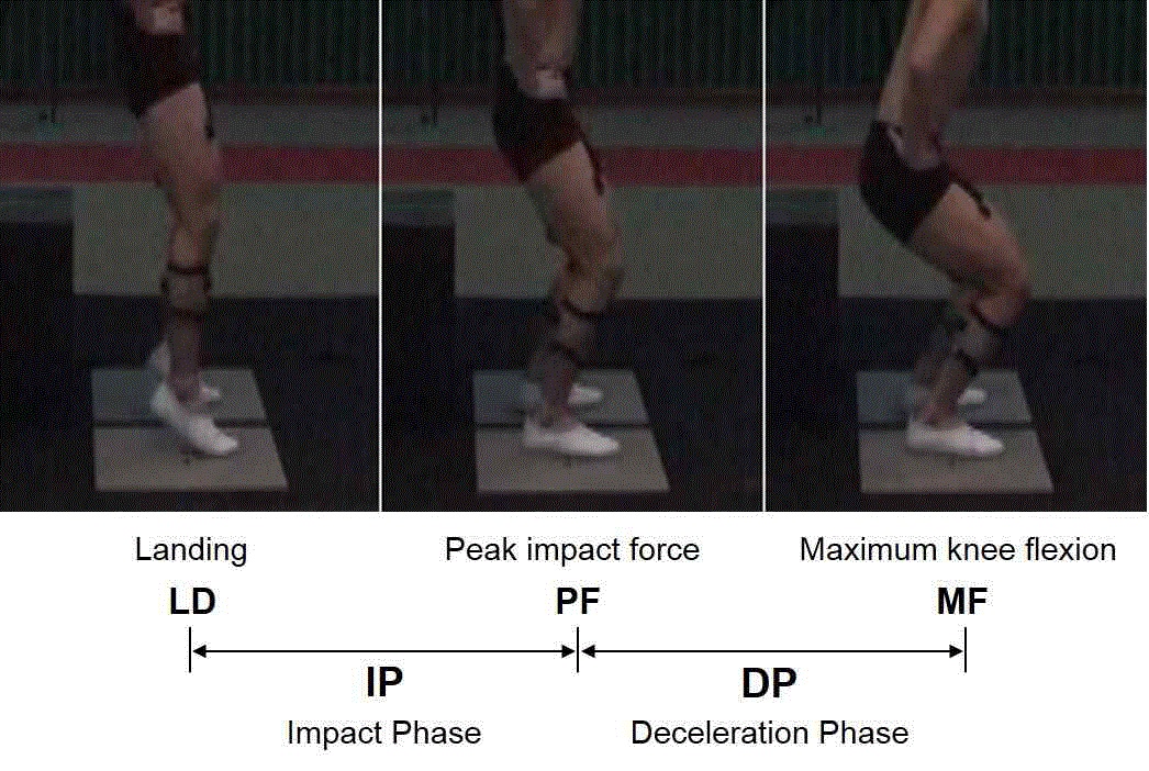 Figure 5. Events and phases