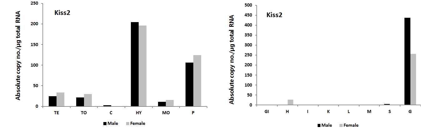 Fig. 1. Tissue specific differential expression of Nile tilapia Kiss2 genes using qRT-PCR.