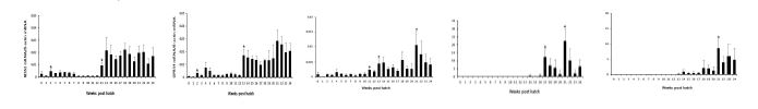 Fig. 2. Expression profile of Kiss2, GPR54, rGnRH Ⅰ, LH beta and FSH beta gene in Nile tilapia from hatching to 24 weeks post hatch