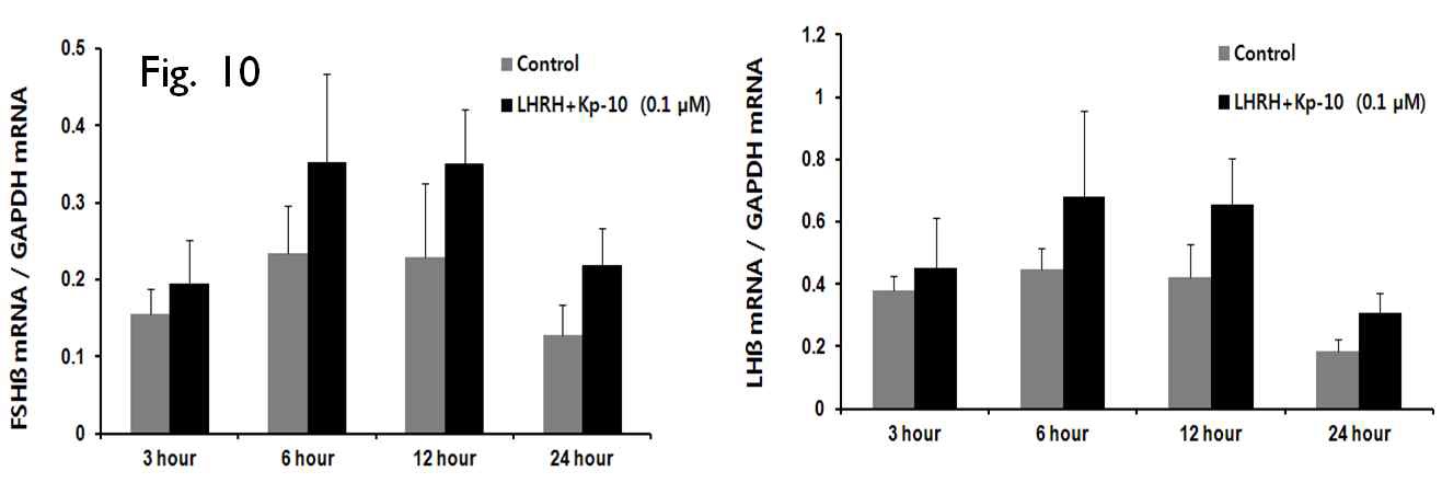 Fig. 10. LHβ and FSHβ mRNA expression in Nile tilapia pituitary after LHRH+Kp-10 (0.1 μM) treatment for various durations of incubation time