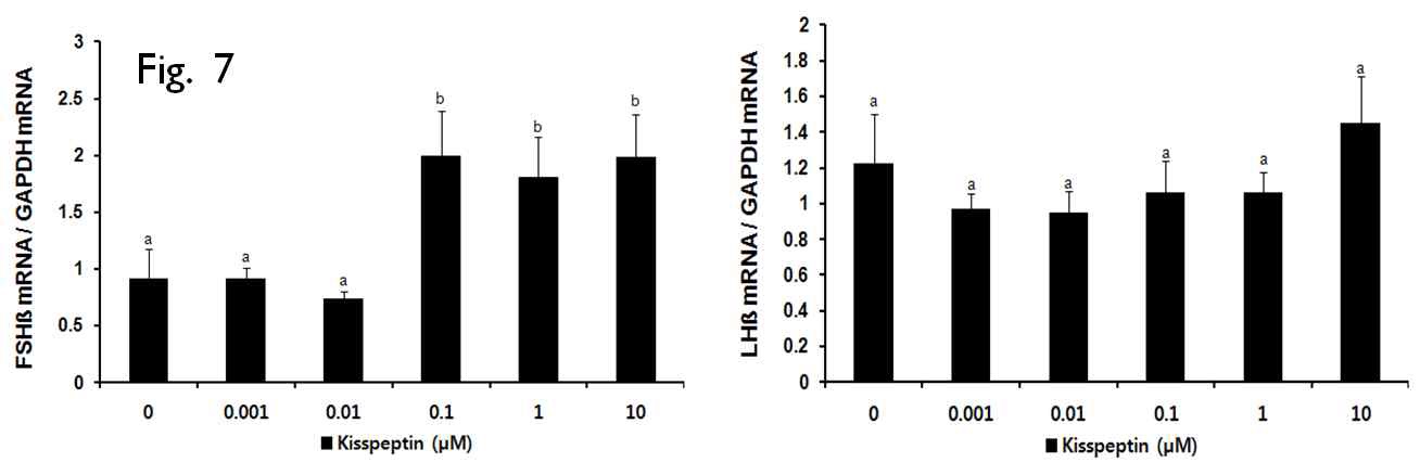 Fig. 7. Dose-dependence of Nile tilapia kisspeptin-10 (Kp-10) treatment on LH β and FSH β mRNA expression in Nile tilapia.