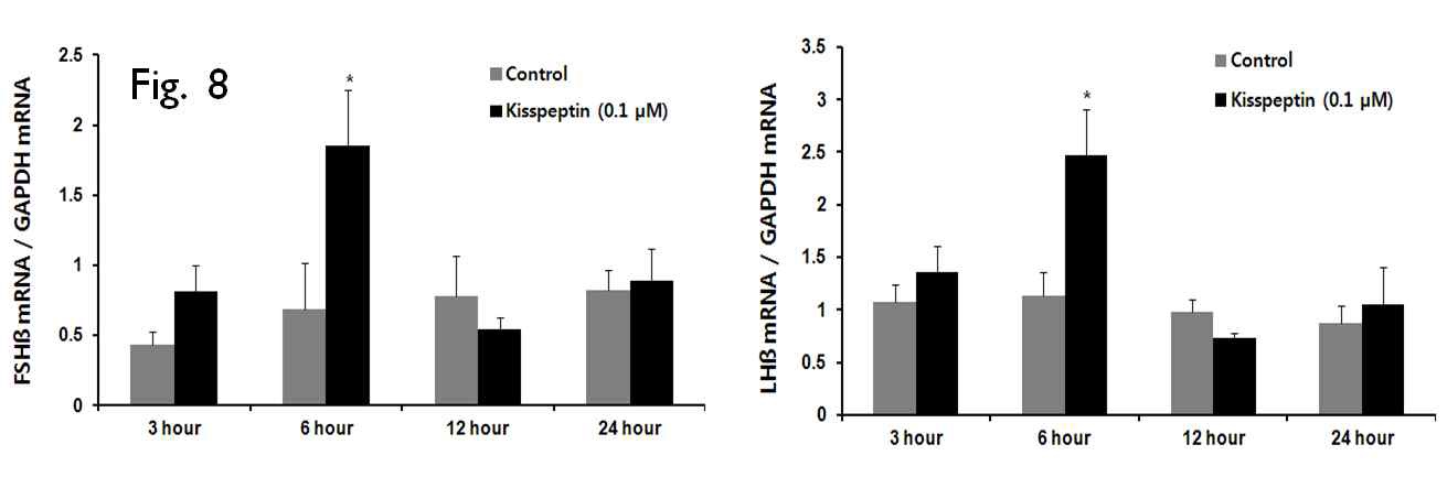 Fig. 8. LHβ and FSHβ mRNA expression in Nile tilapia pituitary after kisspeptin-10 (0.1 μM) treatment for various durations of incubation time.