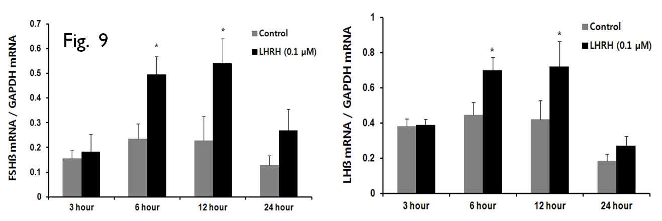 Fig. 9 LHβ and FSHβ mRNA expression in Nile tilapia pituitary after LHRH (0.1 μM) treatment for various durations of incubation time.