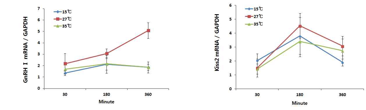 Fig. 13. Kiss2 and GnRH Ι mRNA expression in juvenile tilapia brain according to temperature.