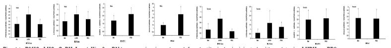 Fig. 14. FSHβ, LHβ, GnRH Ι and Kiss2 mRNA expression in male and female tilapia brain injected with melatonin, LHRH or PBS.