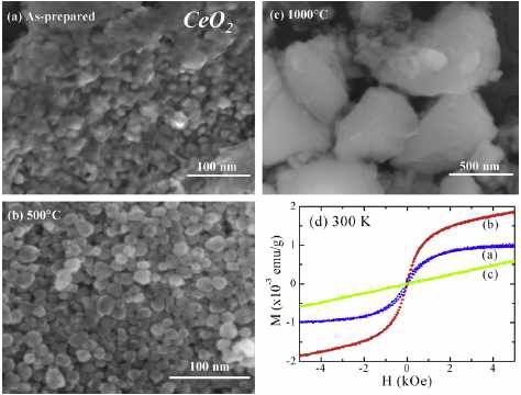 Fig. 1. FE-SEM images of CeO2 nanoparticles