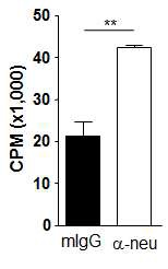 Figure 7. HA antigen presentation of DC after anti-neu treatment.